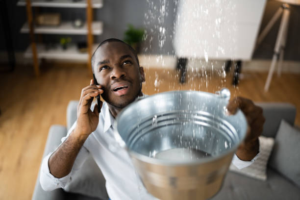 Best Water damage contractors near me  in Fort Pierce, FL