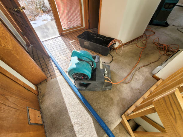 Professional Water damage restoration in FL