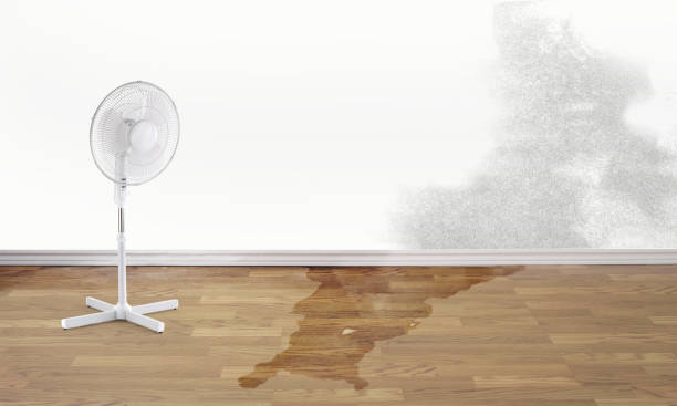 Best 24-hour water damage restoration  in Fort Pierce, FL