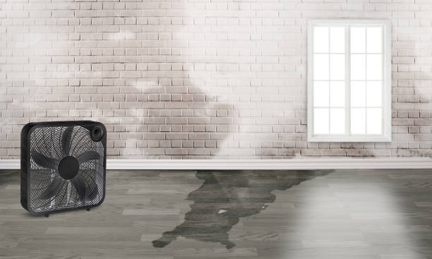 Best Water damage restoration near me  in Fort Pierce, FL