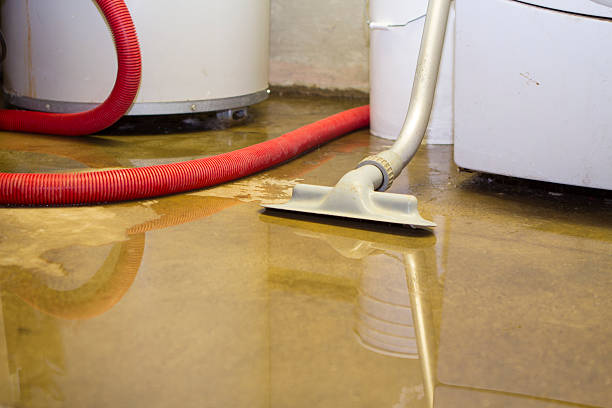 Best Local water damage restoration  in Fort Pierce, FL