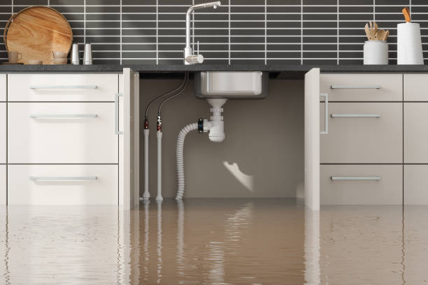 Best Carpet water damage restoration  in Fort Pierce, FL
